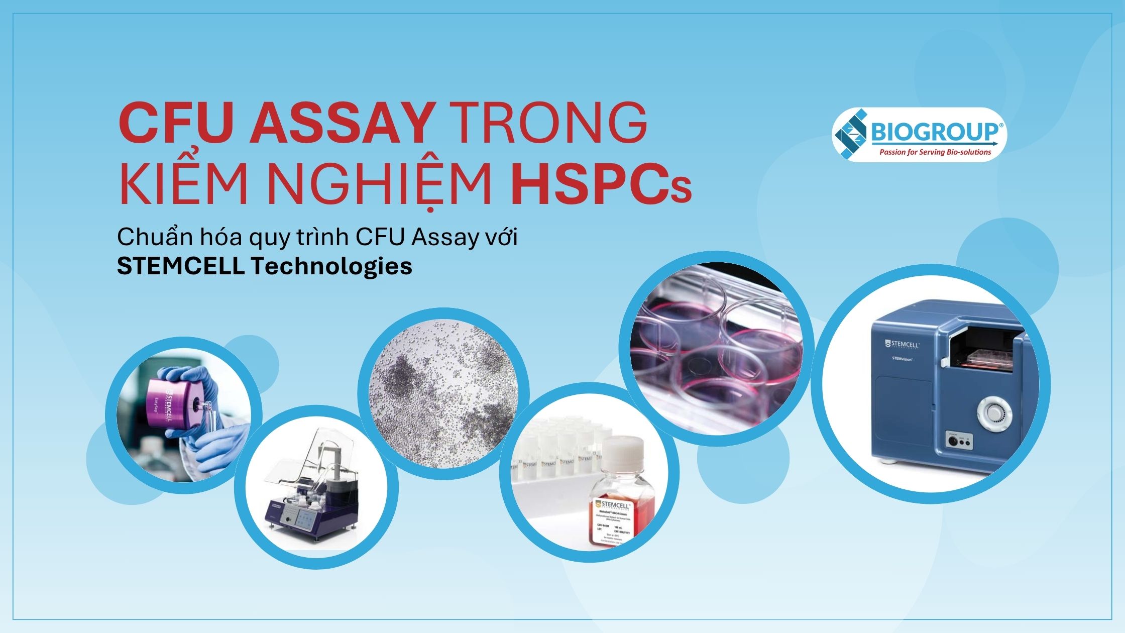 CFU Assay đóng vai trò quan trọng trong kiểm nghiệm HSCs